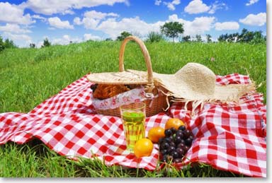 Picnic Picnic